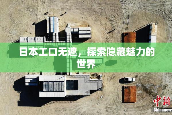 日本工口无遮，探索隐藏魅力的世界