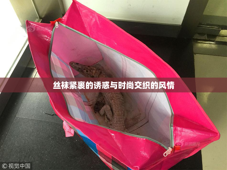 丝袜紧裹的诱惑与时尚交织的风情