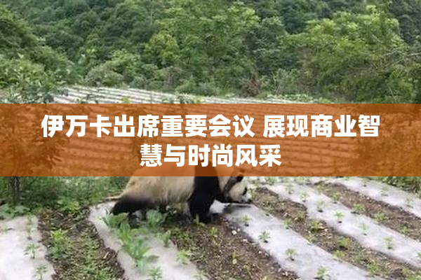 伊万卡出席重要会议 展现商业智慧与时尚风采
