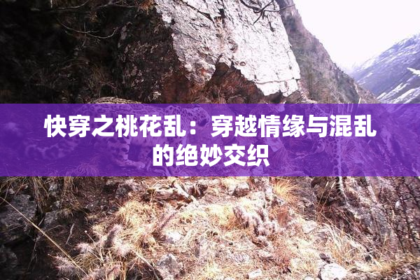 快穿之桃花乱：穿越情缘与混乱的绝妙交织
