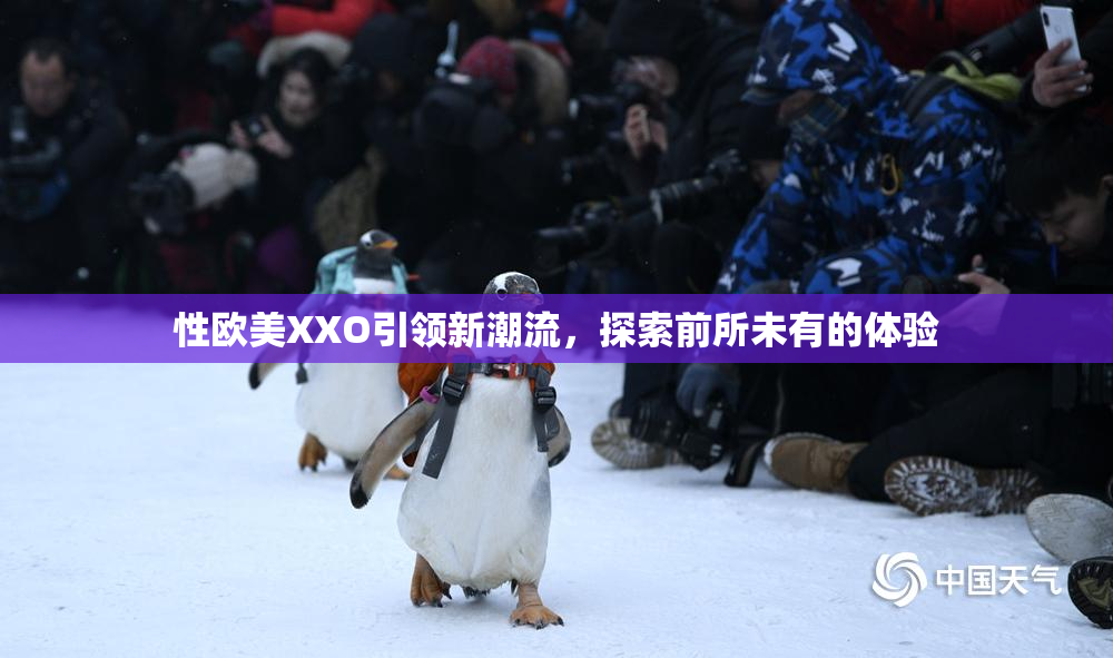 性欧美XXO引领新潮流，探索前所未有的体验
