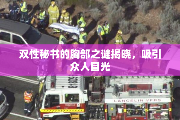 双性秘书的胸部之谜揭晓，吸引众人目光