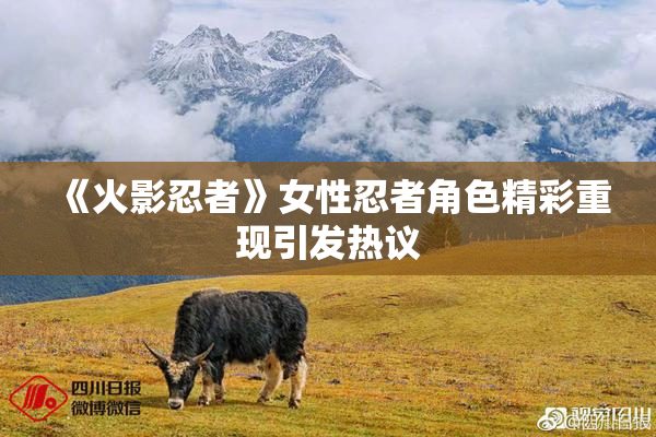 《火影忍者》女性忍者角色精彩重现引发热议