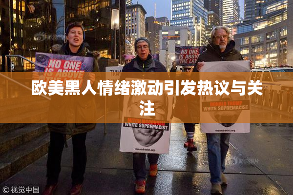 欧美黑人情绪激动引发热议与关注