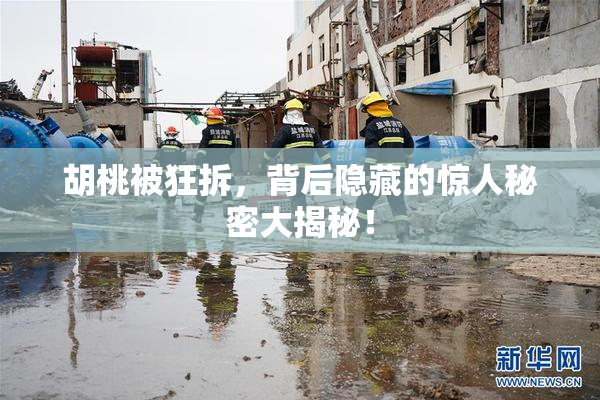 胡桃被狂拆，背后隐藏的惊人秘密大揭秘！