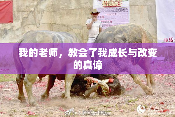 我的老师，教会了我成长与改变的真谛