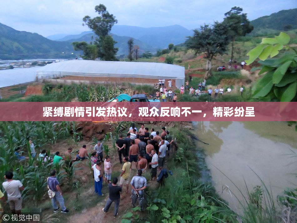 紧缚剧情引发热议，观众反响不一，精彩纷呈