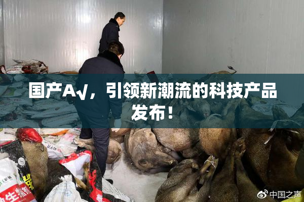 国产A√，引领新潮流的科技产品发布！