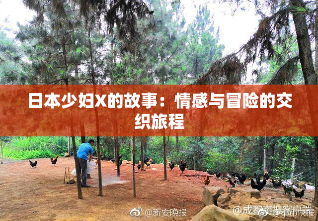 日本少妇X的故事：情感与冒险的交织旅程