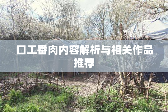 口工番肉内容解析与相关作品推荐