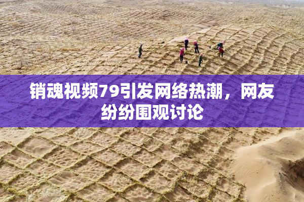 销魂视频79引发网络热潮，网友纷纷围观讨论