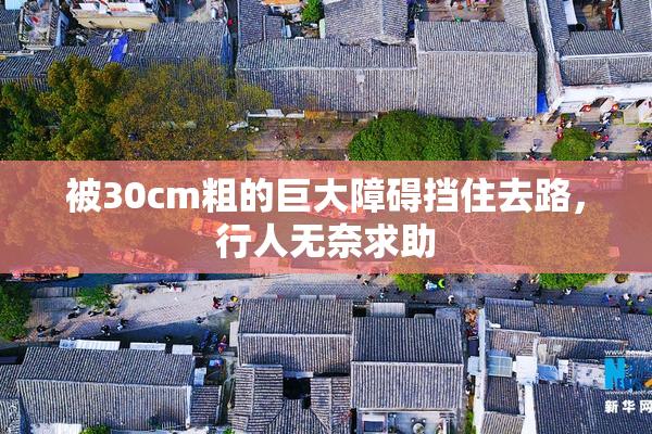 被30cm粗的巨大障碍挡住去路，行人无奈求助