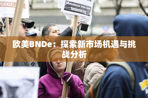 欧美BNDe：探索新市场机遇与挑战分析