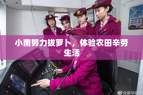 小南努力拔萝卜，体验农田辛劳生活