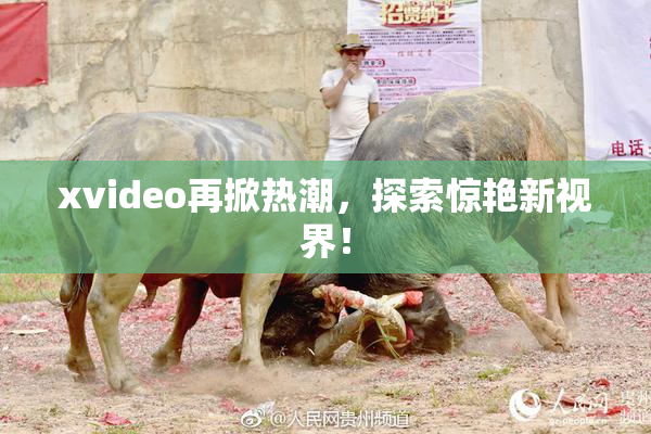 xvideo再掀热潮，探索惊艳新视界！