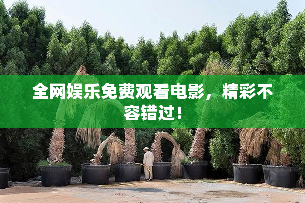 全网娱乐免费观看电影，精彩不容错过！
