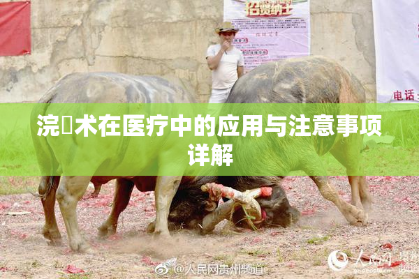 浣腸术在医疗中的应用与注意事项详解