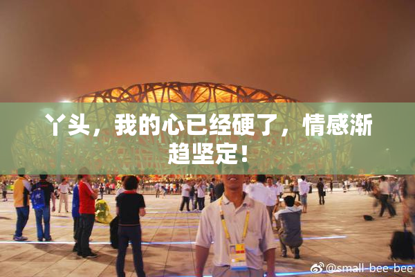 丫头，我的心已经硬了，情感渐趋坚定！