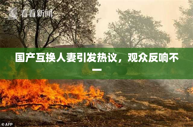 国产互换人妻引发热议，观众反响不一