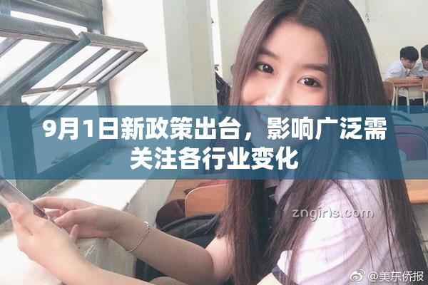 9月1日新政策出台，影响广泛需关注各行业变化