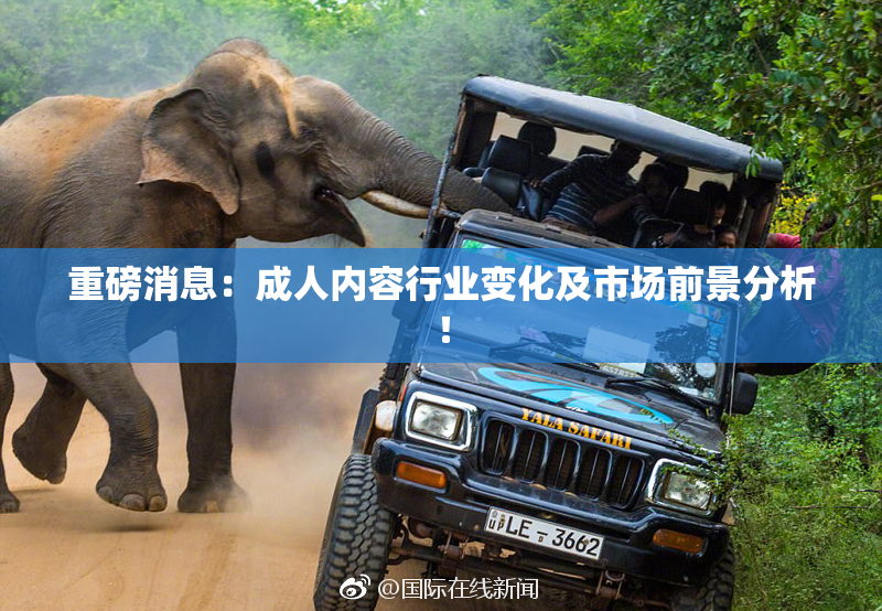 重磅消息：成人内容行业变化及市场前景分析！