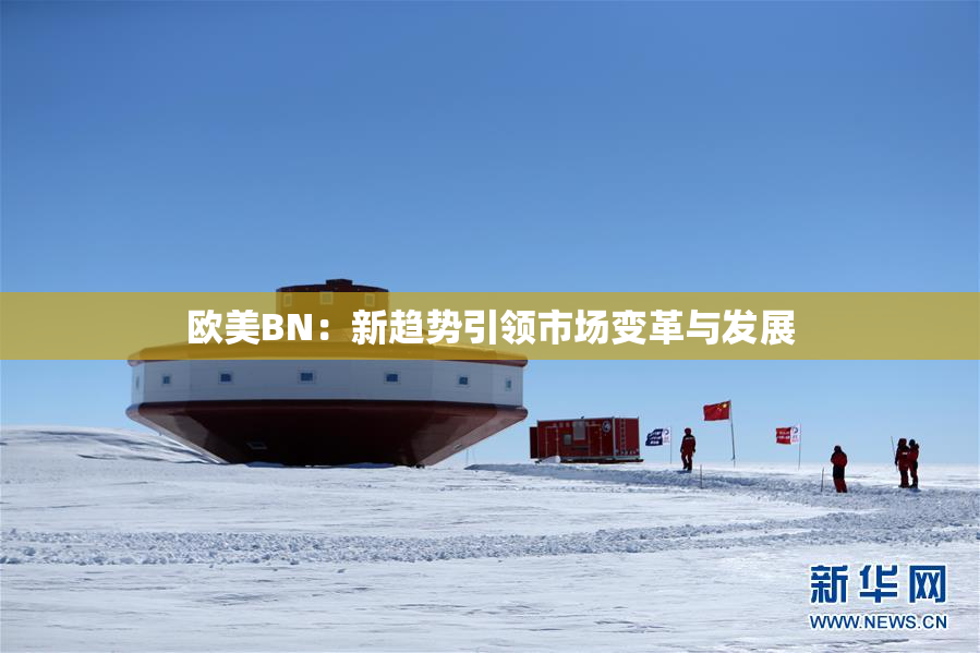 欧美BN：新趋势引领市场变革与发展