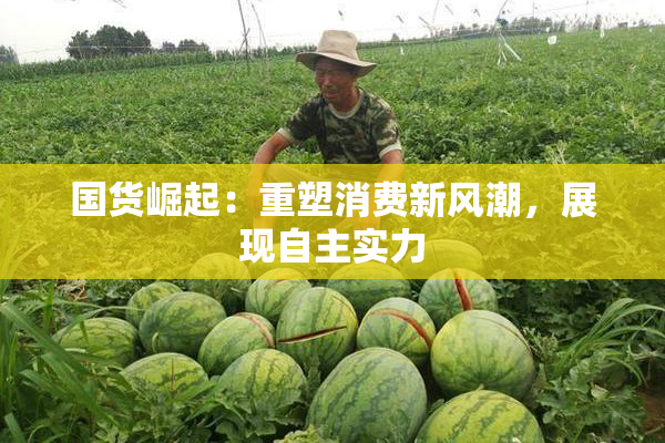 国货崛起：重塑消费新风潮，展现自主实力