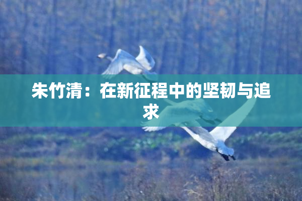 朱竹清：在新征程中的坚韧与追求
