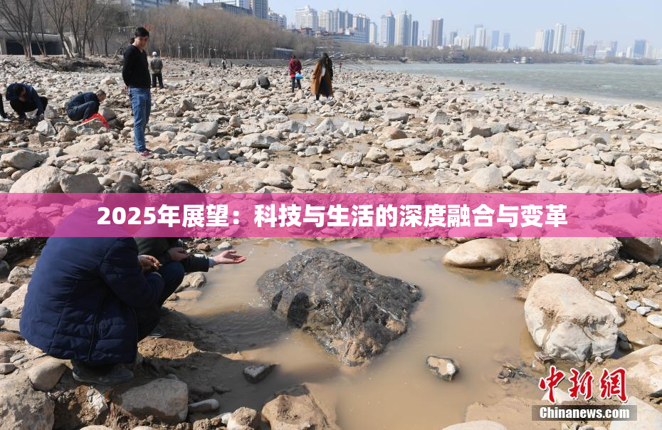 2025年展望：科技与生活的深度融合与变革