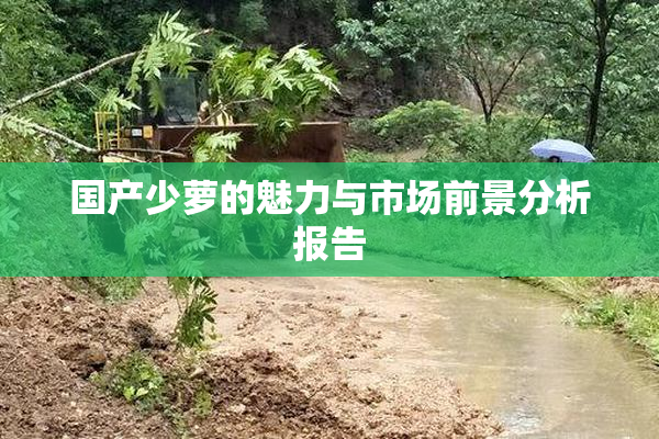 国产少萝的魅力与市场前景分析报告