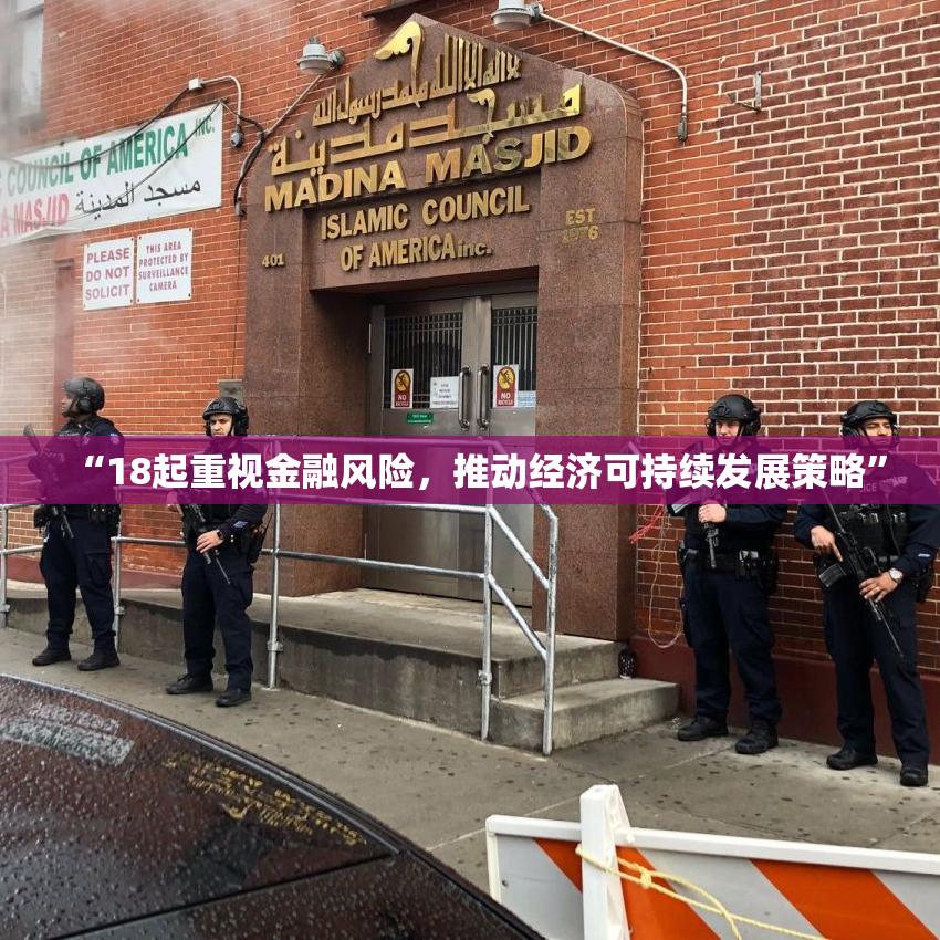 “18起重视金融风险，推动经济可持续发展策略”
