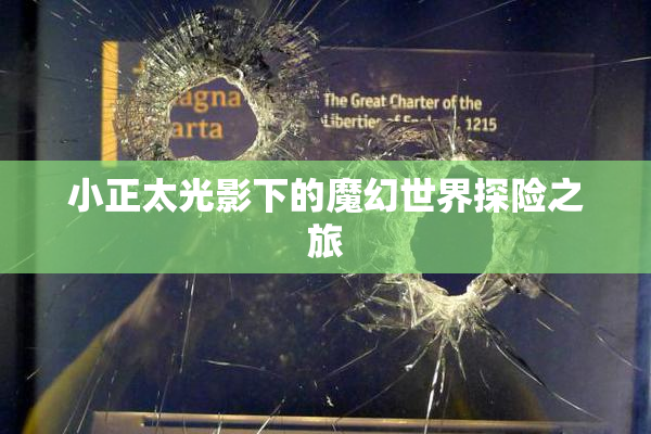 小正太光影下的魔幻世界探险之旅