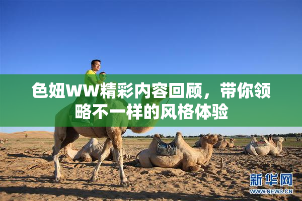 色妞WW精彩内容回顾，带你领略不一样的风格体验