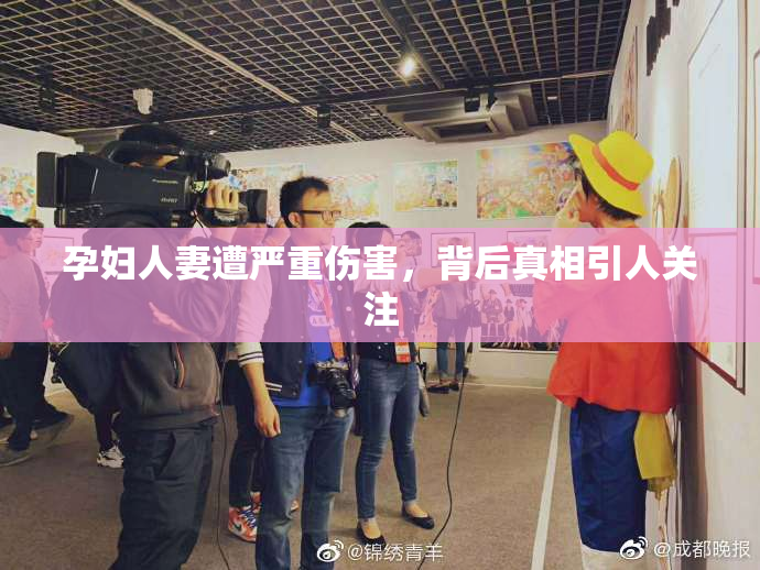 孕妇人妻遭严重伤害，背后真相引人关注