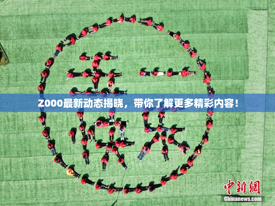 Z000最新动态揭晓，带你了解更多精彩内容！