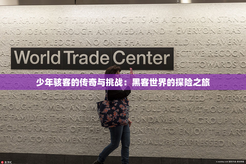 少年骇客的传奇与挑战：黑客世界的探险之旅