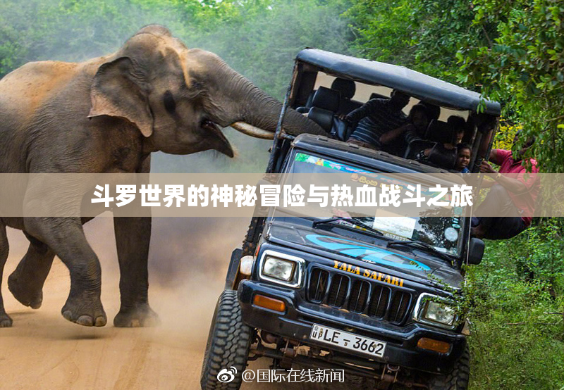 斗罗世界的神秘冒险与热血战斗之旅