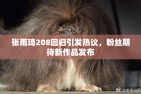 张雨琦208回归引发热议，粉丝期待新作品发布