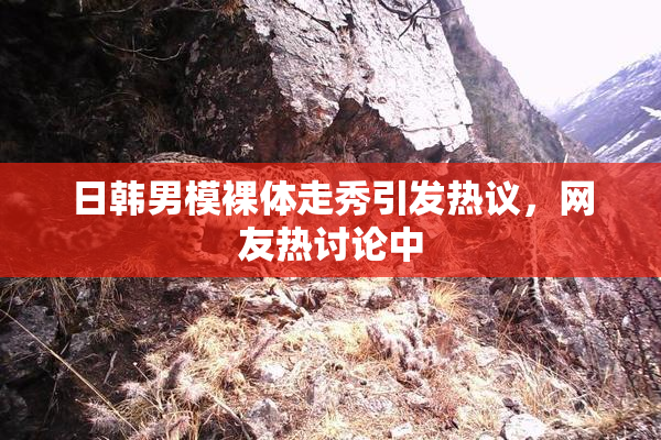 日韩男模裸体走秀引发热议，网友热讨论中