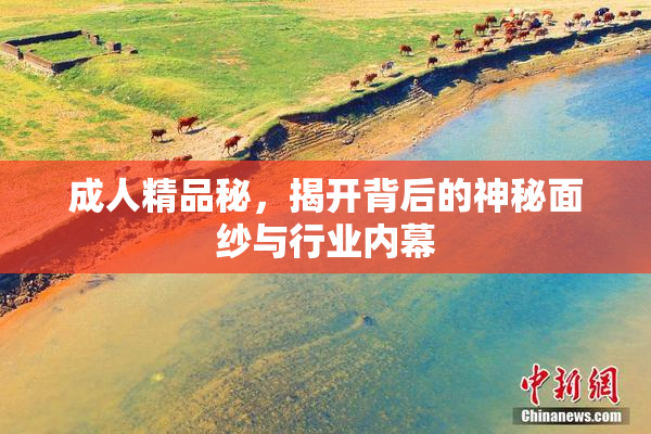 成人精品秘，揭开背后的神秘面纱与行业内幕