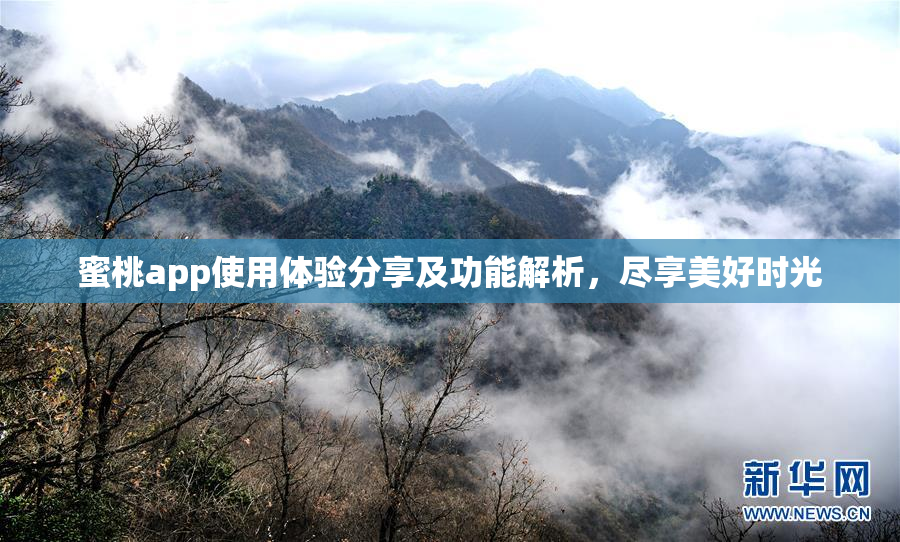 蜜桃app使用体验分享及功能解析，尽享美好时光