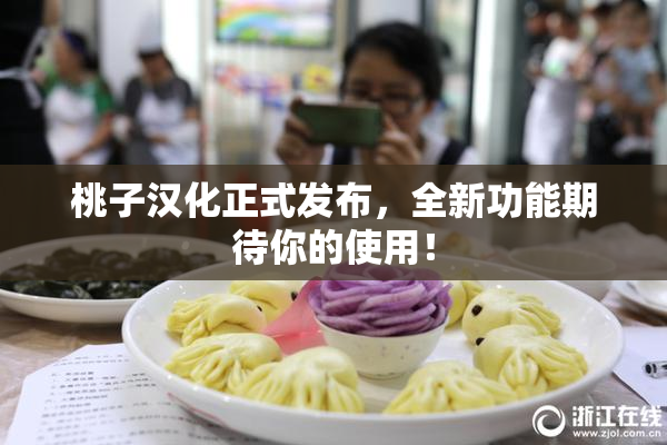 桃子汉化正式发布，全新功能期待你的使用！