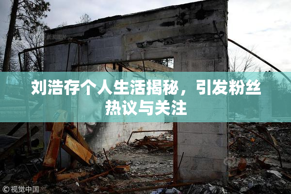 刘浩存个人生活揭秘，引发粉丝热议与关注