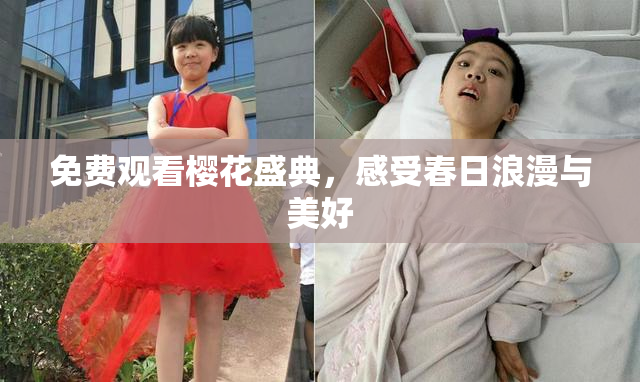 免费观看樱花盛典，感受春日浪漫与美好