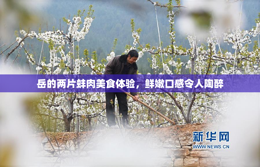 岳的两片蚌肉美食体验，鲜嫩口感令人陶醉