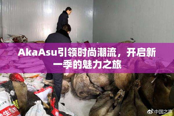 AkaAsu引领时尚潮流，开启新一季的魅力之旅