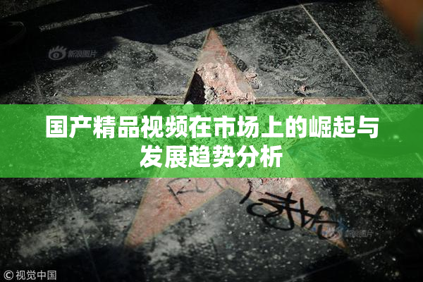 国产精品视频在市场上的崛起与发展趋势分析