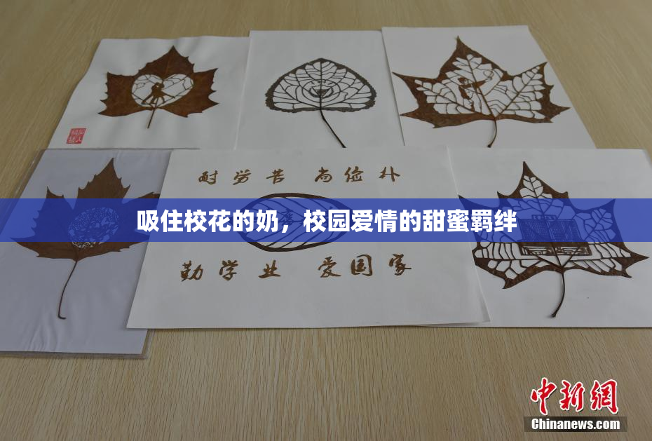 吸住校花的奶，校园爱情的甜蜜羁绊