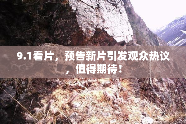 9.1看片，预告新片引发观众热议，值得期待！