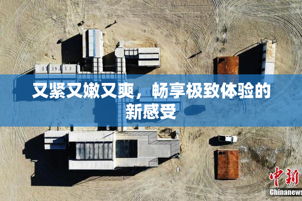又紧又嫩又爽，畅享极致体验的新感受